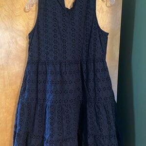 LOFT Navy Eyelet Dress